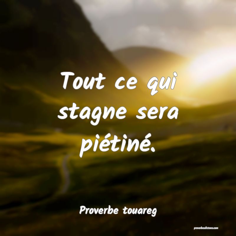 Tout ce qui stagne sera piétiné.