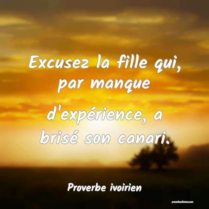 Excusez la fille qui, par manque d'expérience, a brisé son canari.