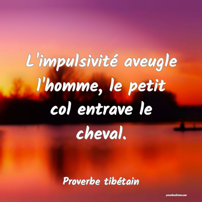 L'impulsivité aveugle l'homme, le petit col entrave le cheval.