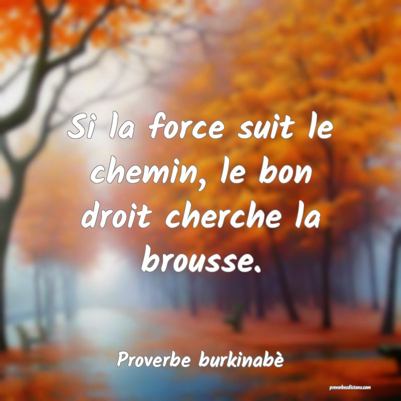 Si la force suit le chemin, le bon droit cherche la brousse.