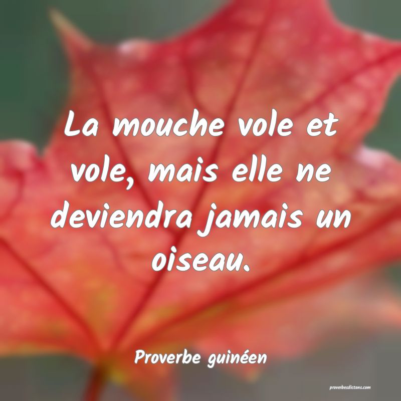 La mouche vole et vole, mais elle ne deviendra jamais un oiseau.