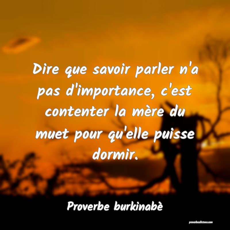 Dire que savoir parler n'a pas d'importance, c'est contenter la mère du muet pour qu'elle puisse dormir.