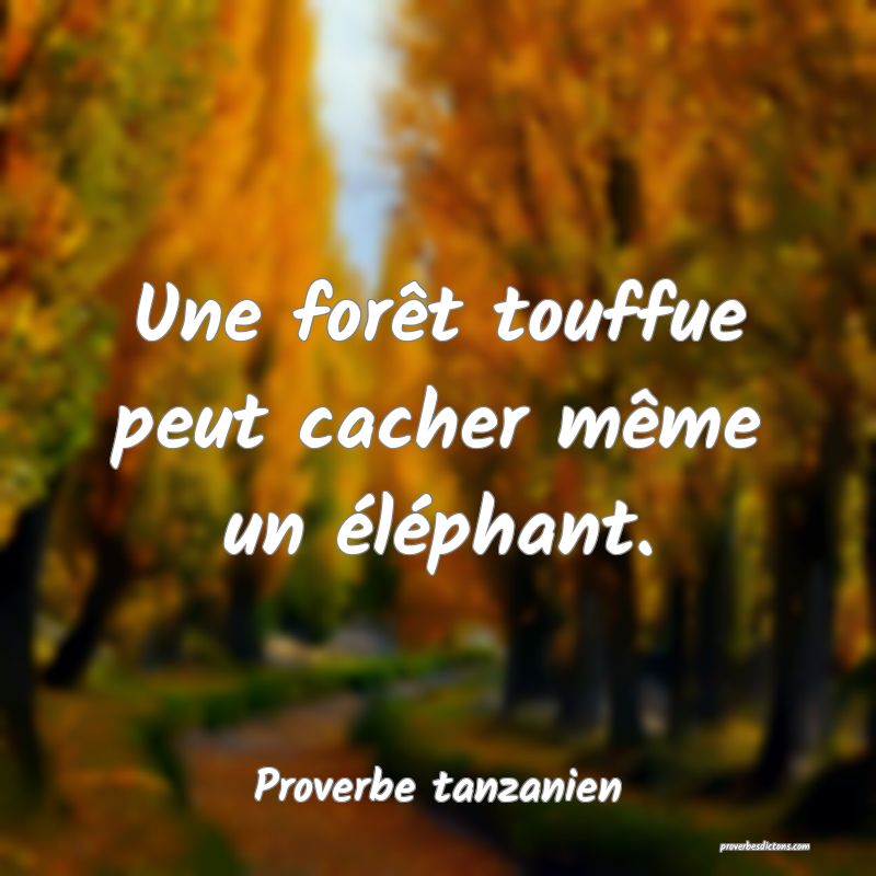 Une forêt touffue peut cacher même un éléphant.
