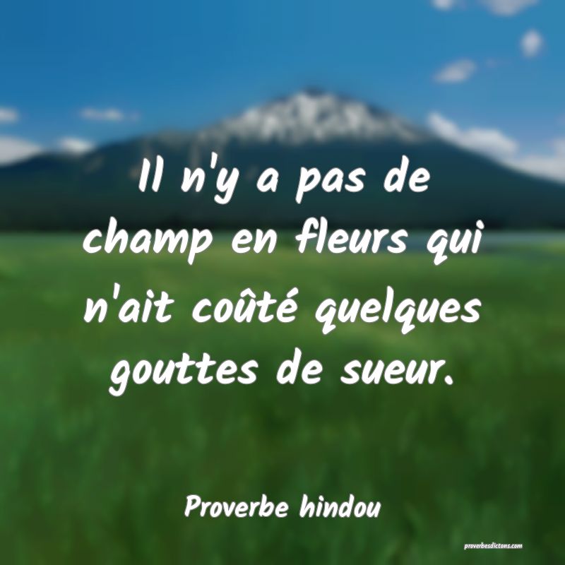 Il n'y a pas de champ en fleurs qui n'ait coûté quelques gouttes de sueur.