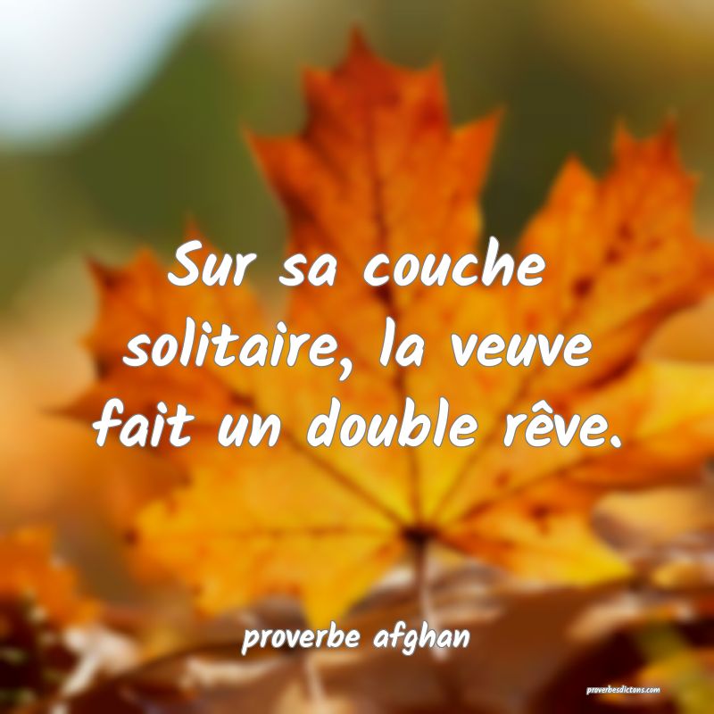 Sur sa couche solitaire, la veuve fait un double rêve.