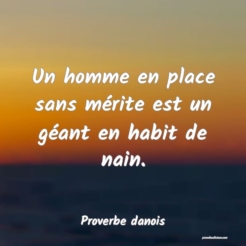 Un homme en place sans mérite est un géant en habit de nain.