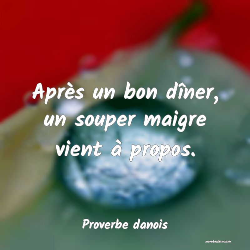Après un bon dîner, un souper maigre vient à propos.