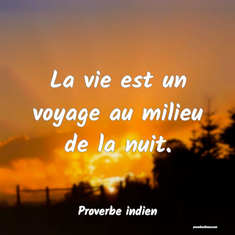 La vie est un voyage au milieu de la nuit.