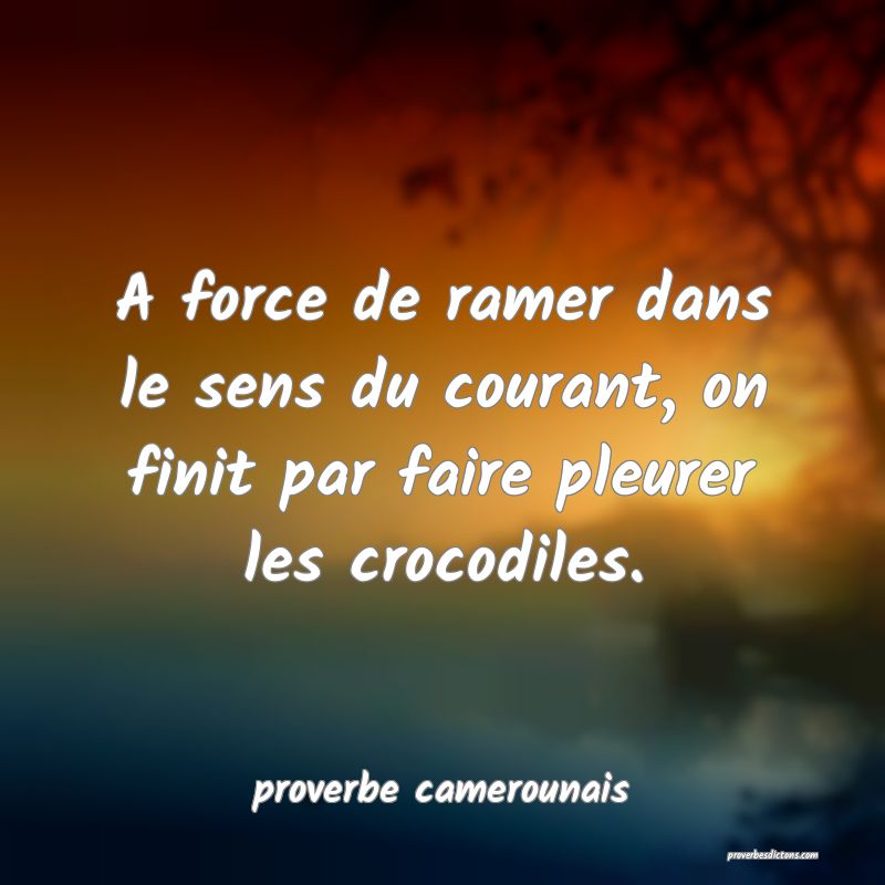  A force de ramer dans le sens du courant, on finit par faire pleurer les crocodiles.