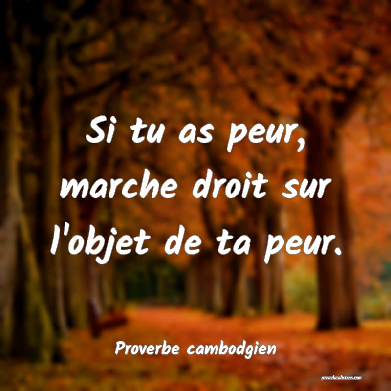 Si tu as peur, marche droit sur l'objet de ta peur.