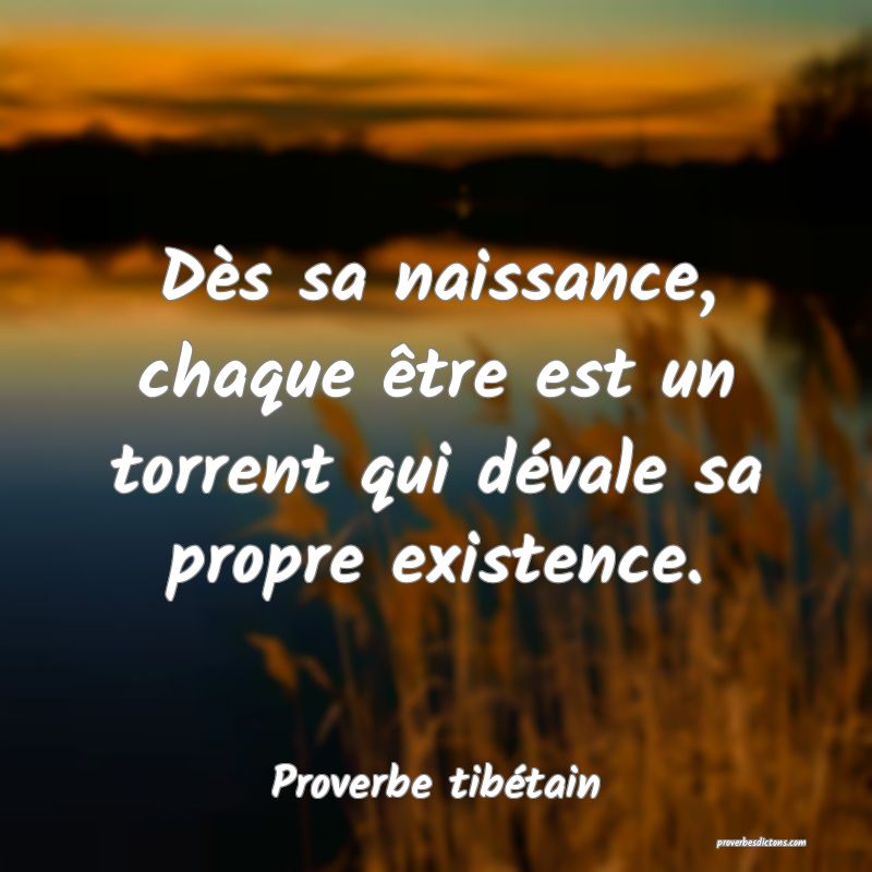 Dès sa naissance, chaque être est un torrent qui dévale sa propre existence.