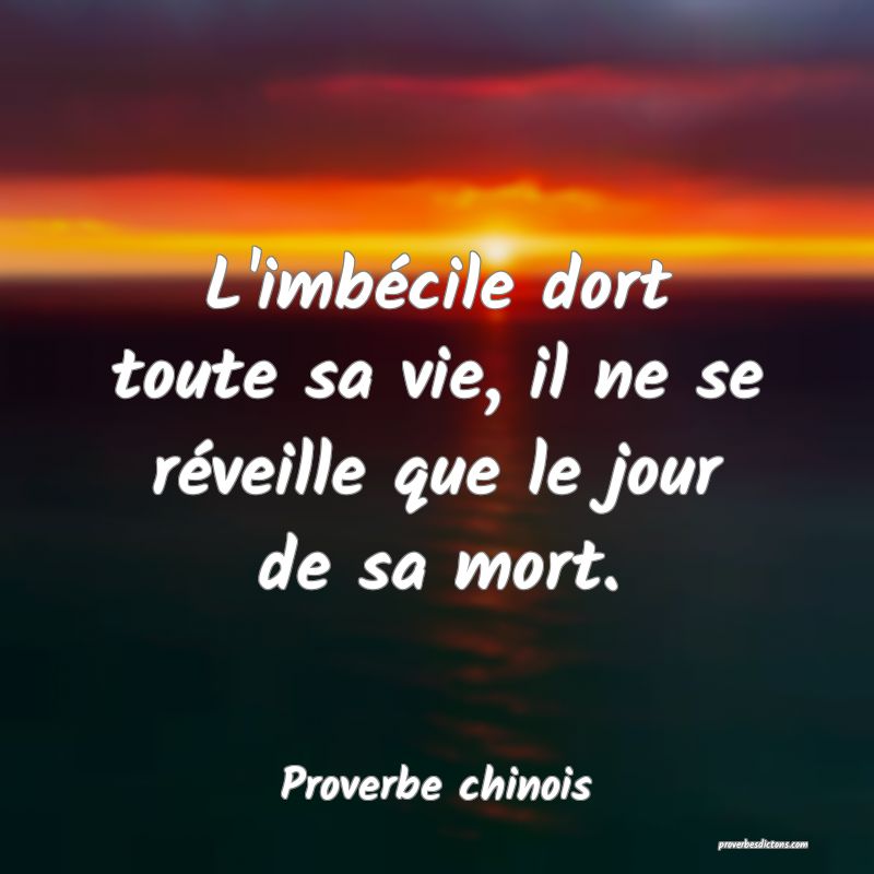 L'imbécile dort toute sa vie, il ne se réveille que le jour de sa mort.