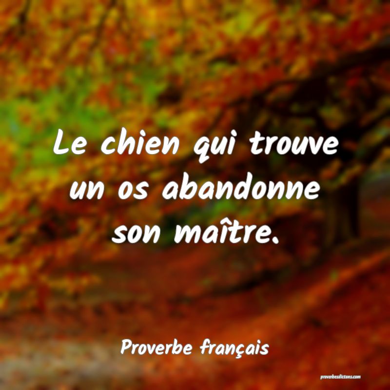 Le chien qui trouve un os abandonne son maître.