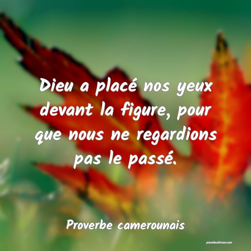 Dieu a placé nos yeux devant la figure, pour que nous ne regardions pas le passé.