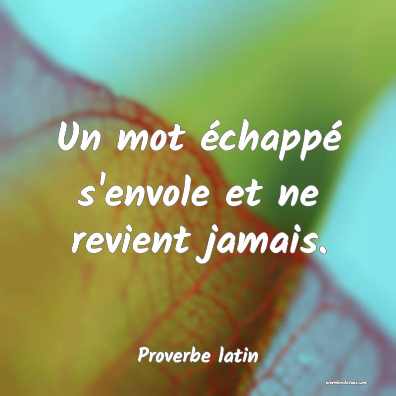 Un mot échappé s'envole et ne revient jamais.
