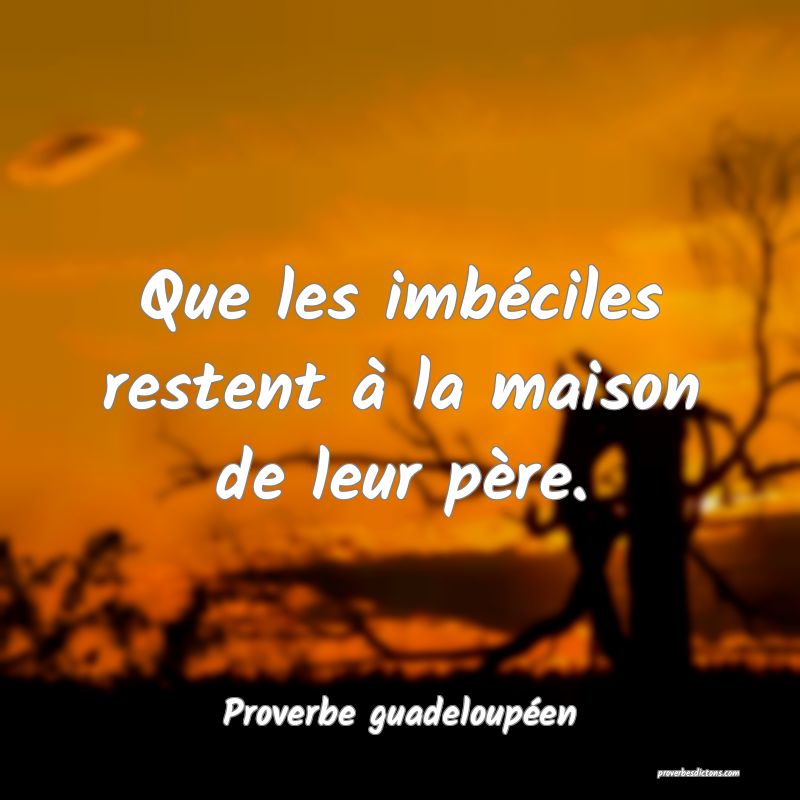 Que les imbéciles restent à la maison de leur père.