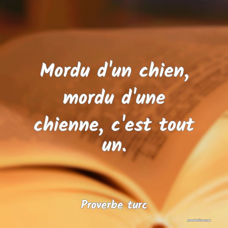 Mordu d'un chien, mordu d'une chienne, c'est tout un.