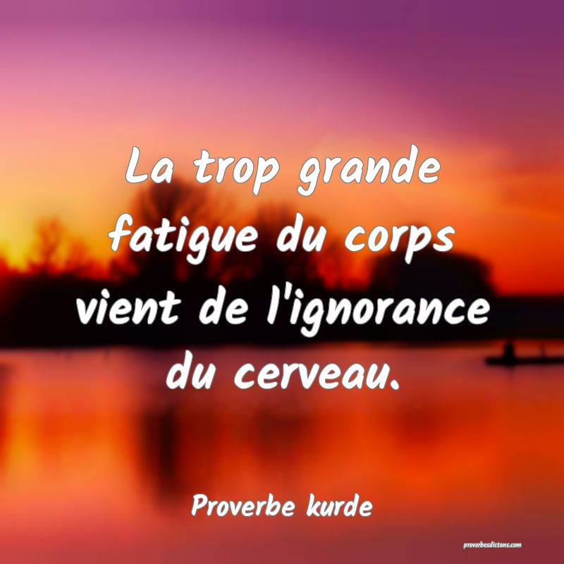 La trop grande fatigue du corps vient de l'ignorance du cerveau.