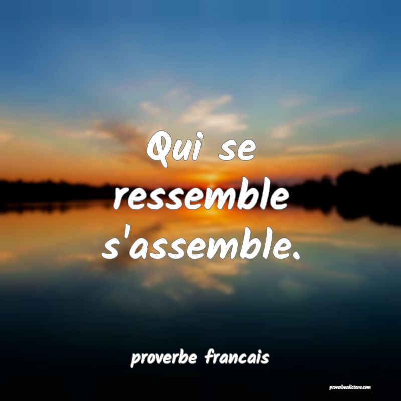  Qui se ressemble s'assemble.