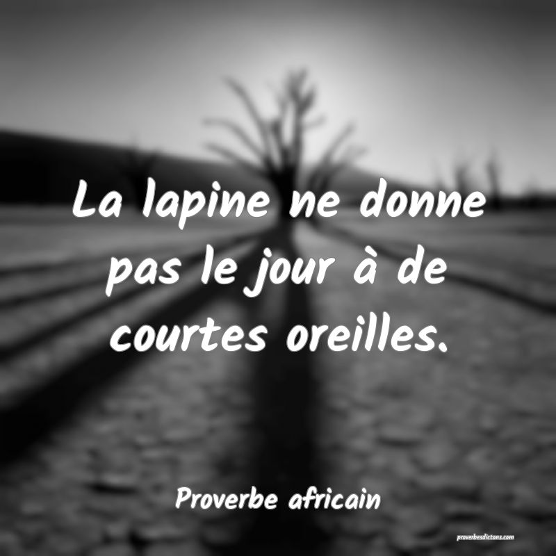 La lapine ne donne pas le jour à de courtes oreilles.