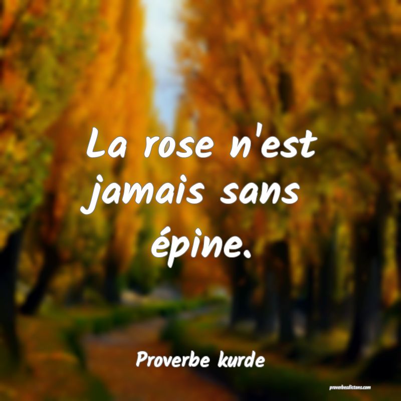La rose n'est jamais sans épine.