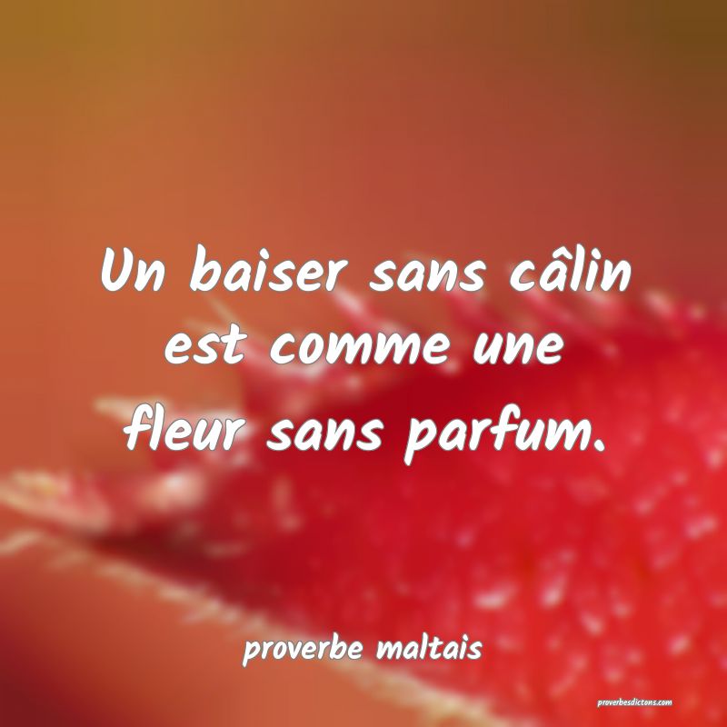Un baiser sans câlin est comme une fleur sans parfum. 
