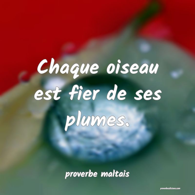 Chaque oiseau est fier de ses plumes. 
