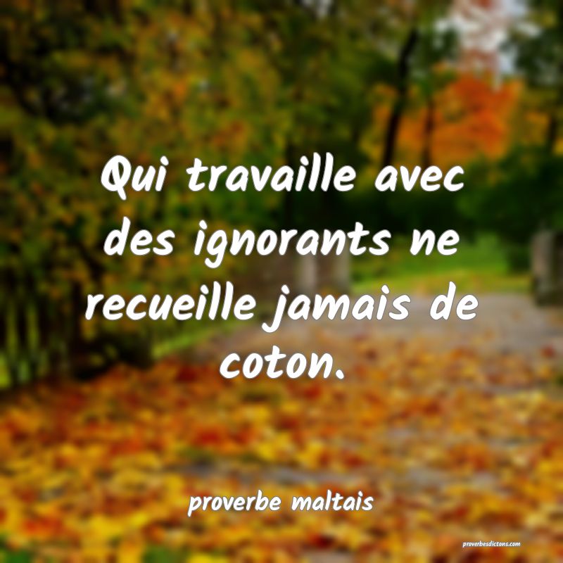 Qui travaille avec des ignorants ne recueille jamais de coton. 
