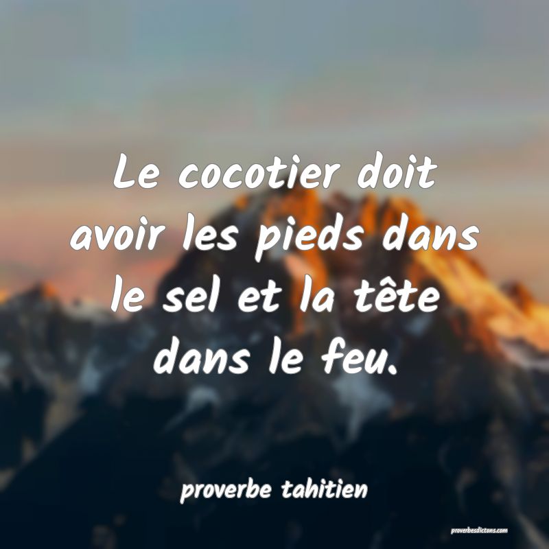 Le cocotier doit avoir les pieds dans le sel et la tête dans le feu.
