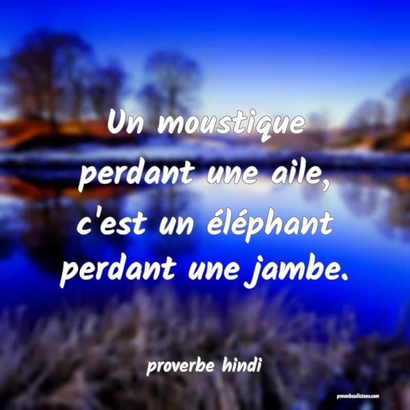 Un moustique perdant une aile, c'est un éléphant perdant une jambe. 
