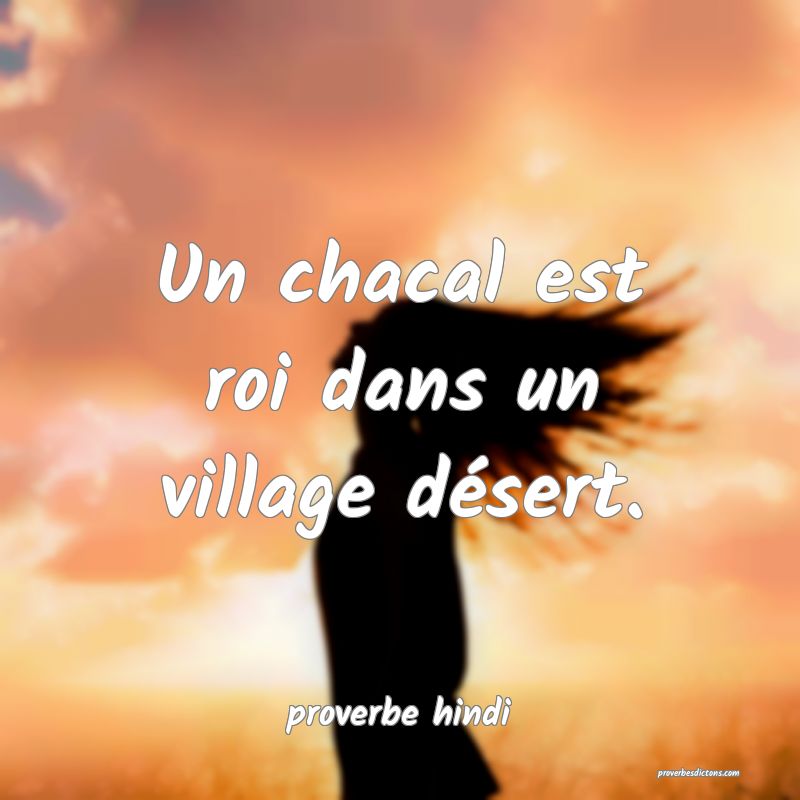 Un chacal est roi dans un village désert. 
