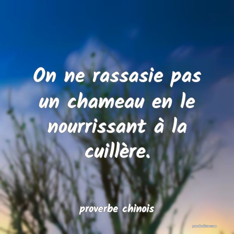  On ne rassasie pas un chameau en le nourrissant à la cuillère.