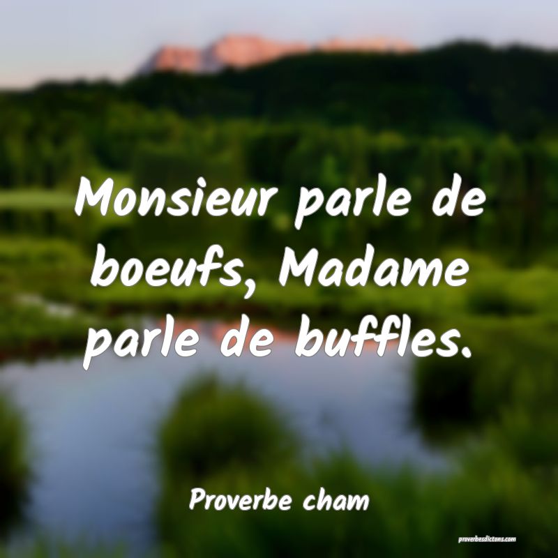 Monsieur parle de boeufs, Madame parle de buffles.
