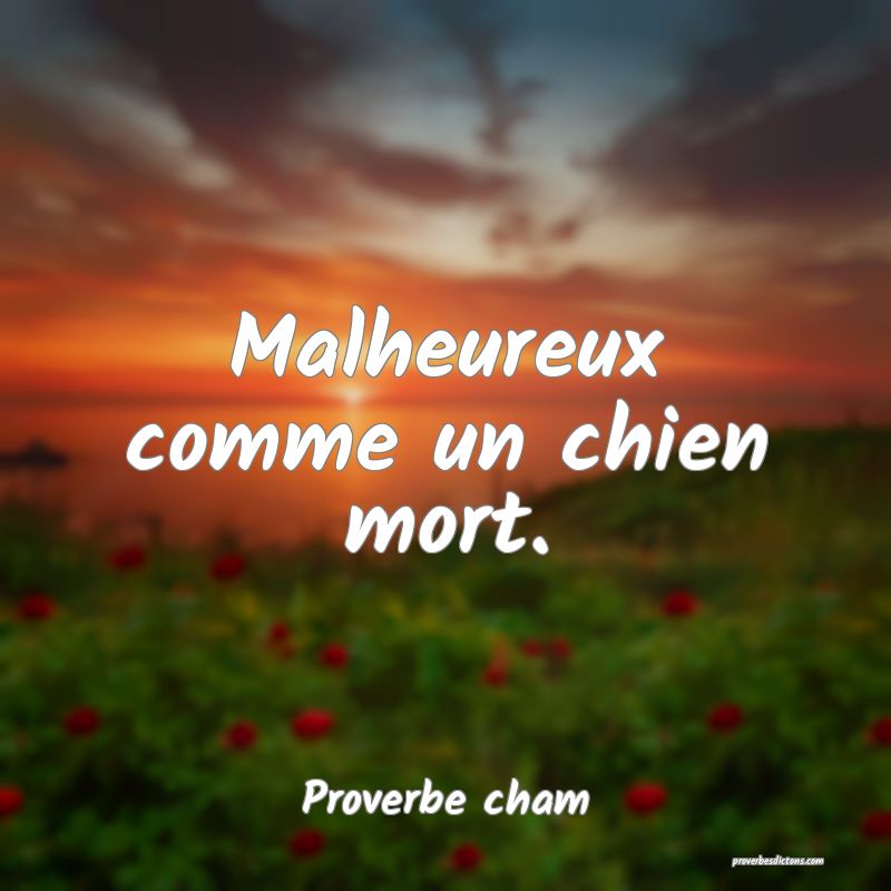 Malheureux comme un chien mort.
