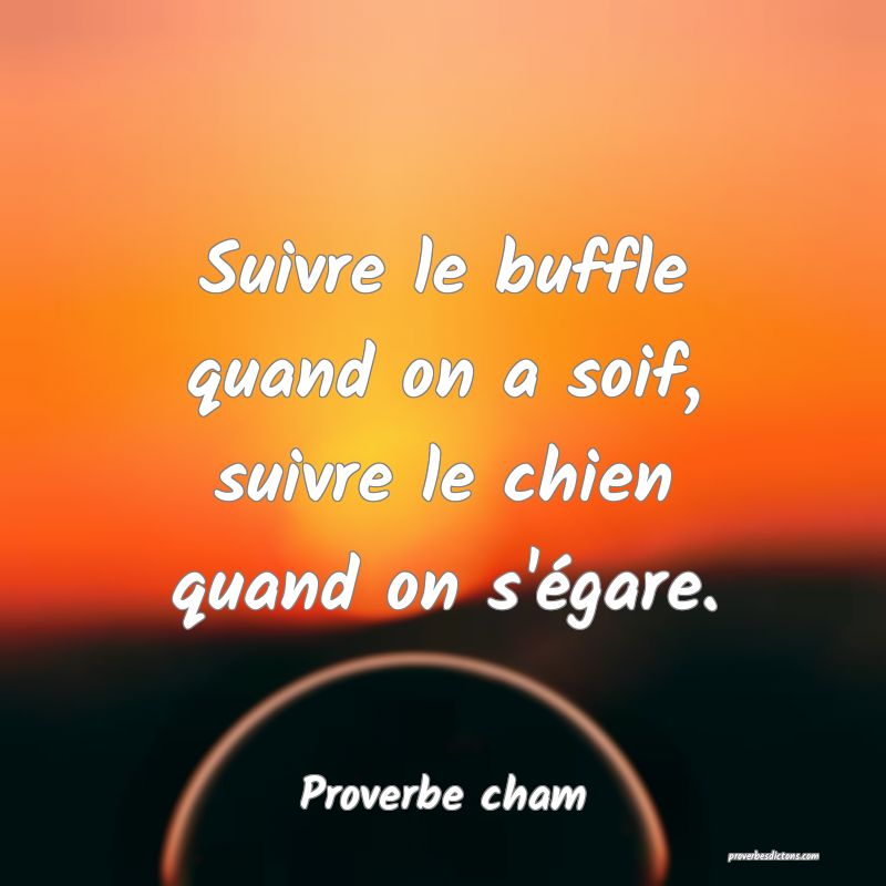 Suivre le buffle quand on a soif, suivre le chien quand on s'égare.
