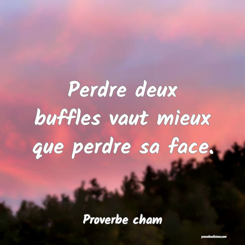 Perdre deux buffles vaut mieux que perdre sa face.
