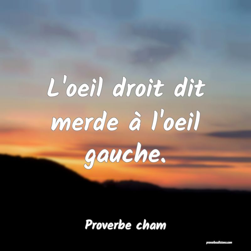 L'oeil droit dit merde à l'oeil gauche.
