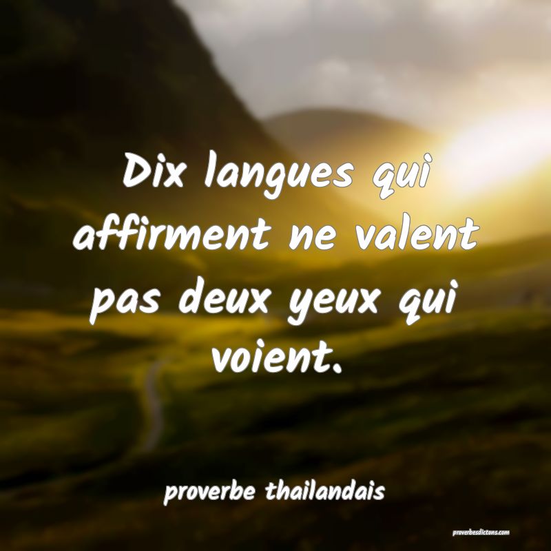 Dix langues qui affirment ne valent pas deux yeux qui voient. 
