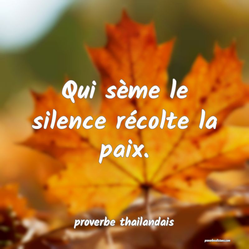 Qui sème le silence récolte la paix. 
