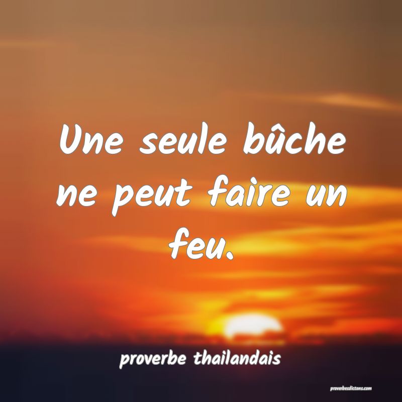 Une seule bûche ne peut faire un feu. 
