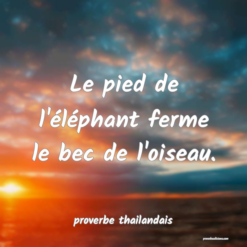 Le pied de l'éléphant ferme le bec de l'oiseau. 
