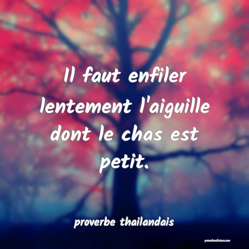 Il faut enfiler lentement l'aiguille dont le chas est petit. 
