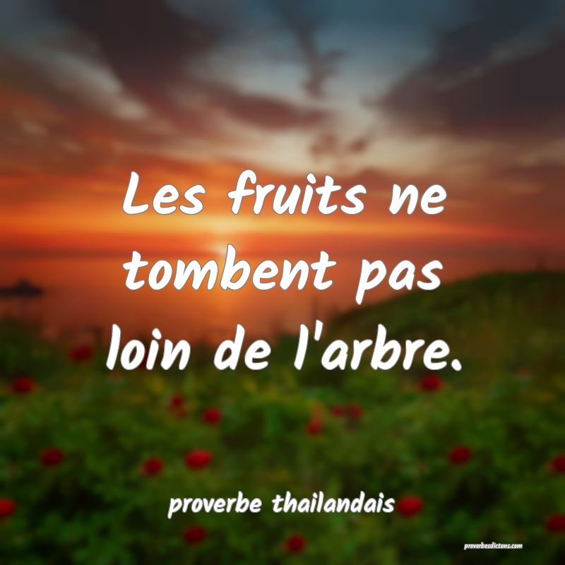 Les fruits ne tombent pas loin de l'arbre. 
