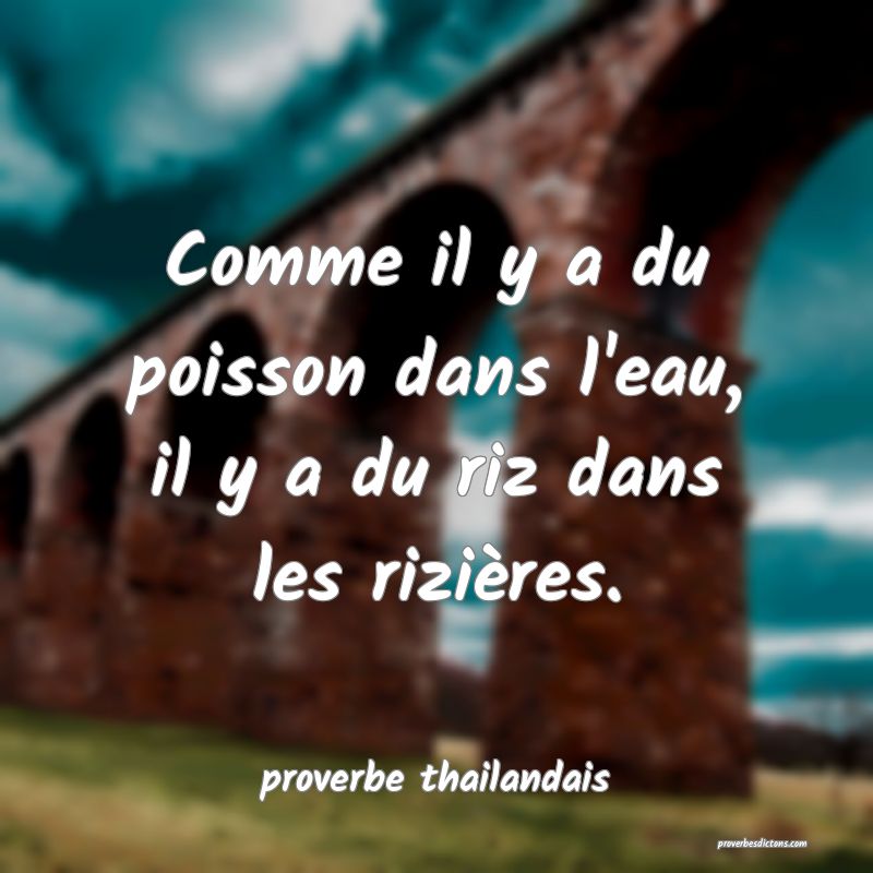 Comme il y a du poisson dans l'eau, il y a du riz dans les rizières. 
