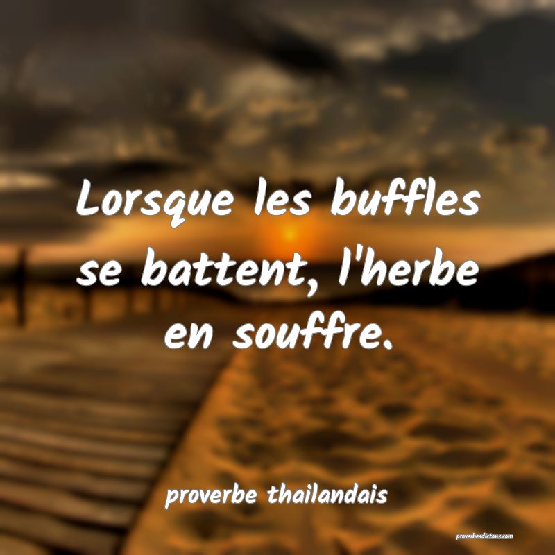 Lorsque les buffles se battent, l'herbe en souffre. 
