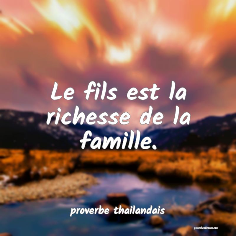 Le fils est la richesse de la famille. 
