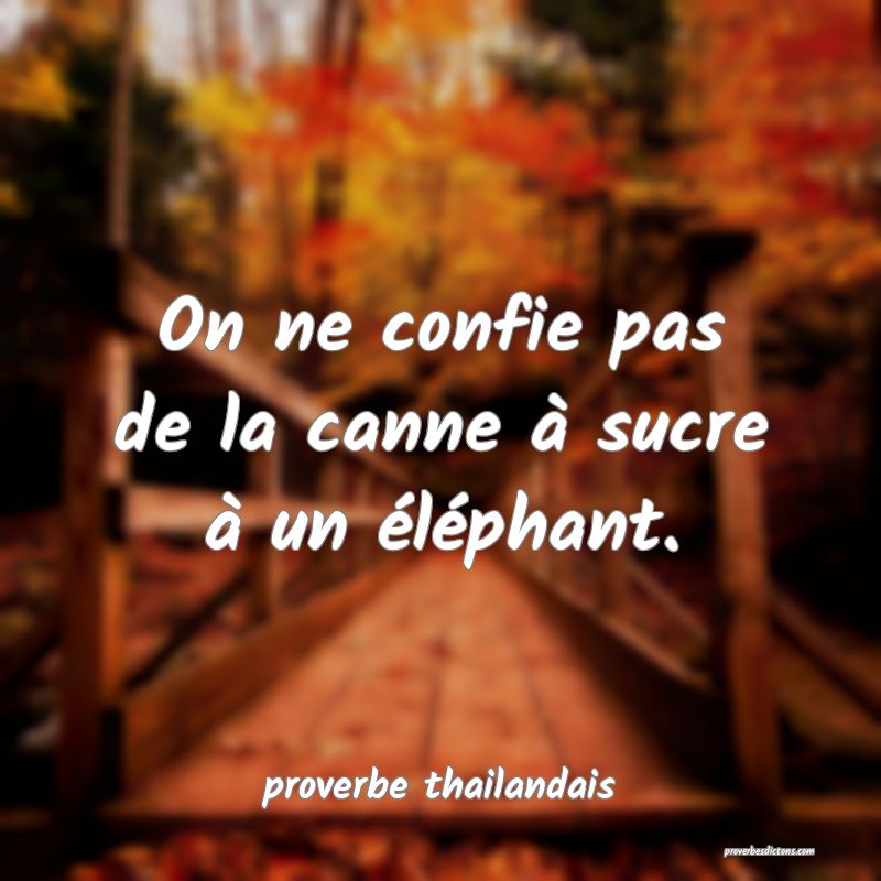 On ne confie pas de la canne à sucre à un éléphant. 

