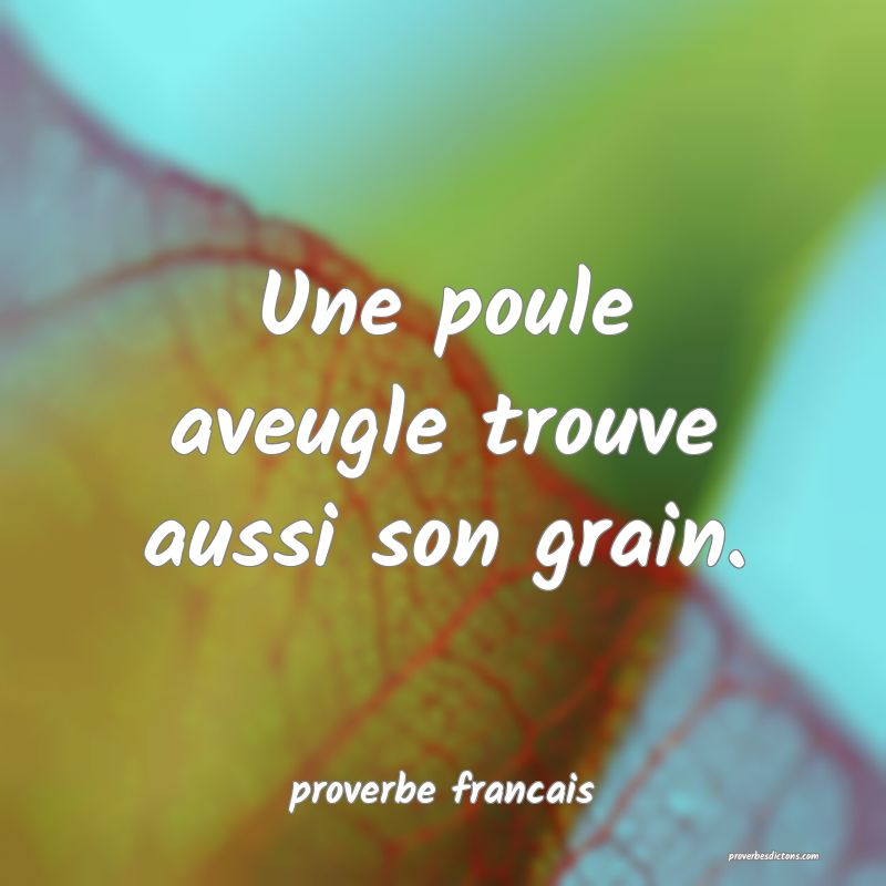  Une poule aveugle trouve aussi son grain.