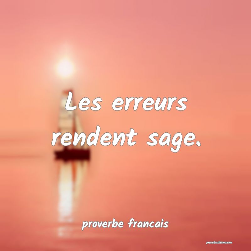  Les erreurs rendent sage.