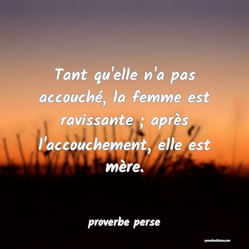 Tant qu'elle n'a pas accouché, la femme est ravissante ; après l'accouchement, elle est mère. 

